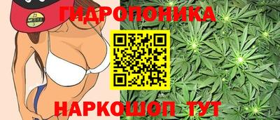 гашиш Малгобек